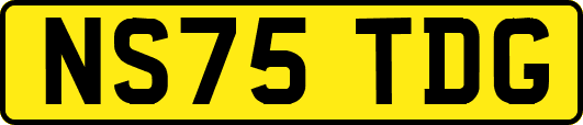 NS75TDG