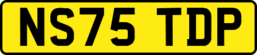 NS75TDP