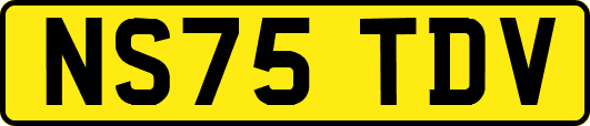 NS75TDV