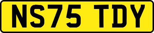 NS75TDY