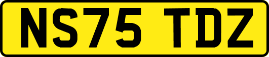 NS75TDZ