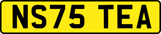 NS75TEA