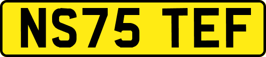 NS75TEF