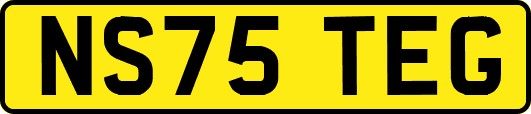 NS75TEG