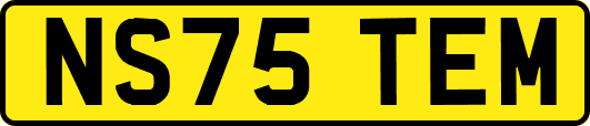 NS75TEM