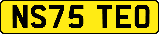 NS75TEO