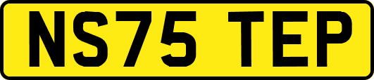 NS75TEP
