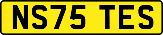 NS75TES