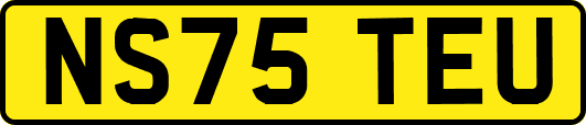 NS75TEU