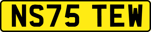 NS75TEW