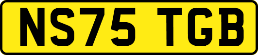 NS75TGB