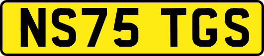 NS75TGS