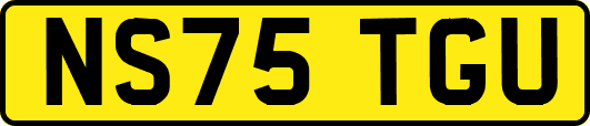 NS75TGU