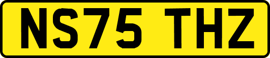 NS75THZ