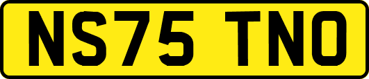 NS75TNO