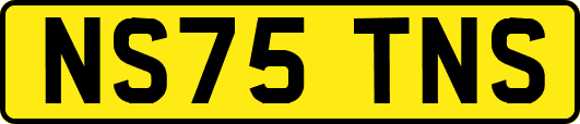 NS75TNS
