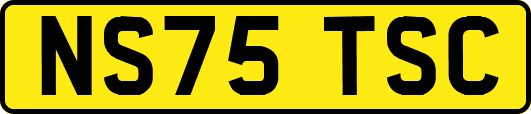 NS75TSC