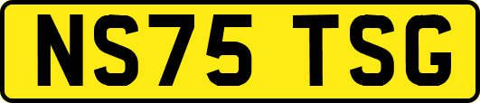 NS75TSG