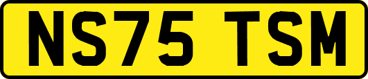 NS75TSM