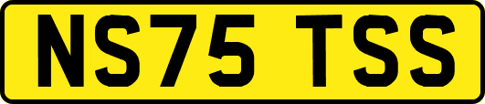NS75TSS