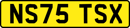 NS75TSX