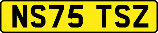 NS75TSZ