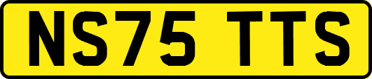 NS75TTS