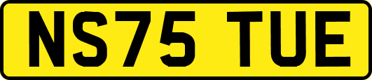 NS75TUE