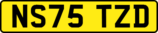 NS75TZD