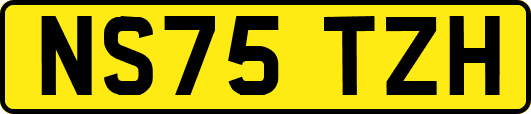 NS75TZH
