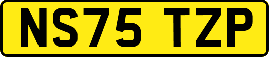 NS75TZP