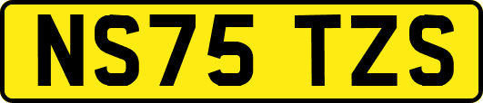 NS75TZS