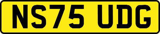 NS75UDG
