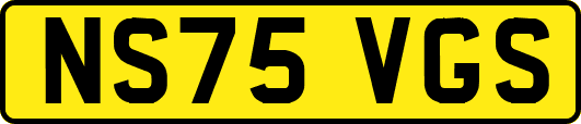 NS75VGS