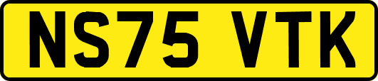 NS75VTK