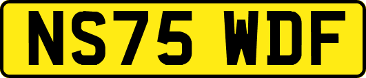 NS75WDF