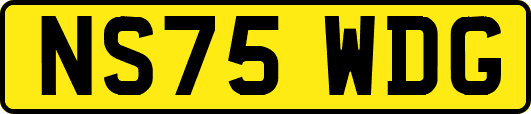 NS75WDG