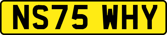 NS75WHY