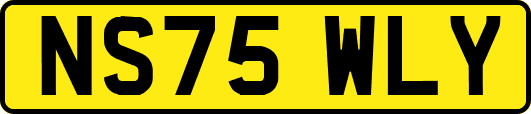 NS75WLY
