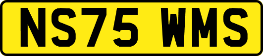 NS75WMS