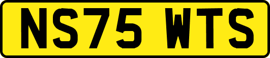 NS75WTS