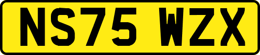 NS75WZX