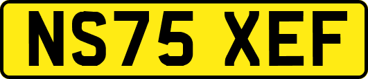 NS75XEF