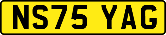 NS75YAG