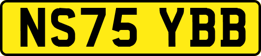 NS75YBB