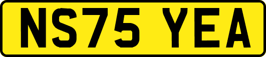 NS75YEA