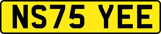 NS75YEE