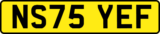 NS75YEF