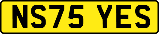 NS75YES