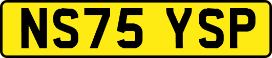 NS75YSP